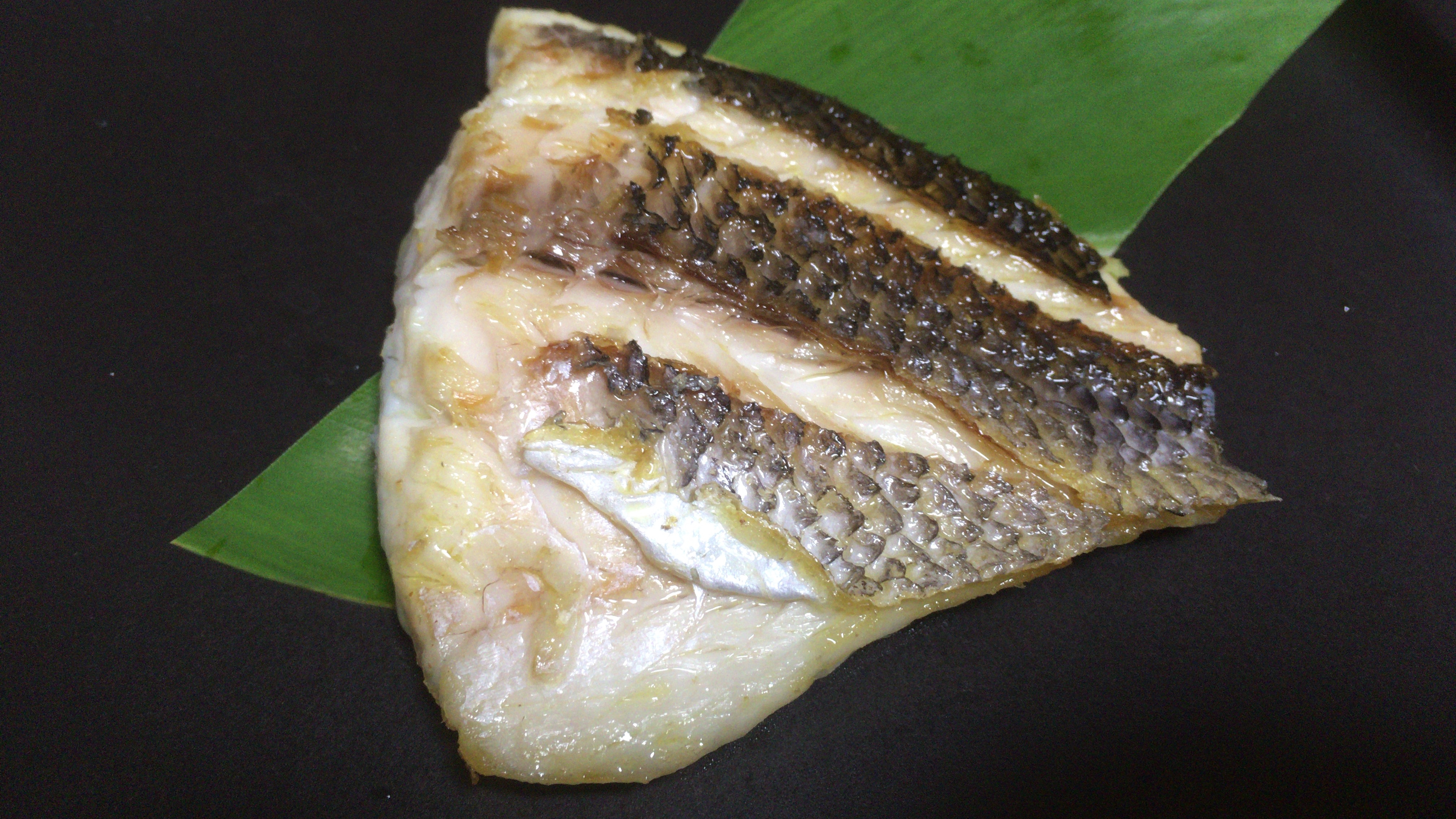 アオダイとは 釣り方 捌き方 美味しい食べ方を紹介 釣りラバ